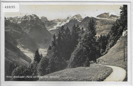 Braunwald - Partie am Wege zum Rubschen