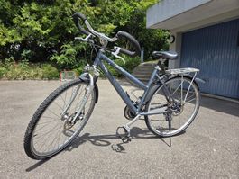 Damen-Citybike Cresta Pro Series