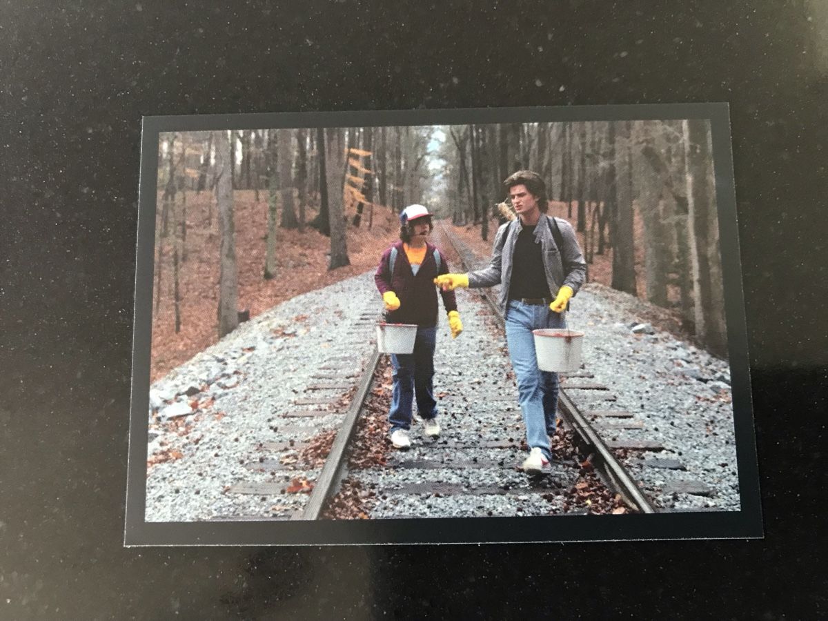 Panini Carte collezionabili: Panini Stranger Things la dernière aventure - Num. 60 – Nuovo (secondo la descrizione) da Champoz venduto da Wild79Wes