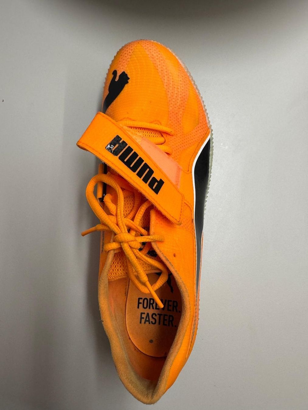 Puma Scarpe da uomo: Puma Evospeed Sprintschuhe, Orange, Gr. 44.5 mit Spikes! – Usato da Oberuzwil venduto da FJC 1
