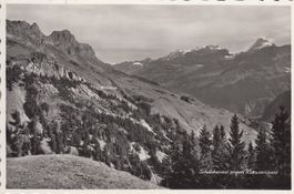 Schächental 1955