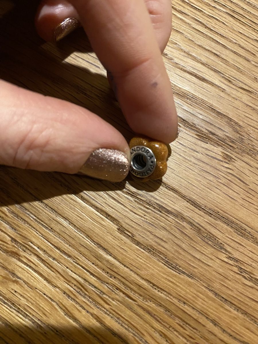 Pandora Ciondoli: Pandora Charms 5 Stück – Usato da Muri AG venduto da sonneblueme10 3