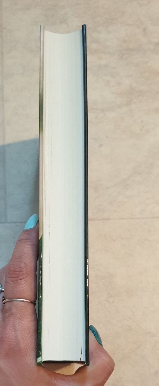 Libri: Hexenheide von Mariëtte Aerts – Nuovo (secondo la descrizione) da Füllinsdorf venduto da Sunnebliemli7 2
