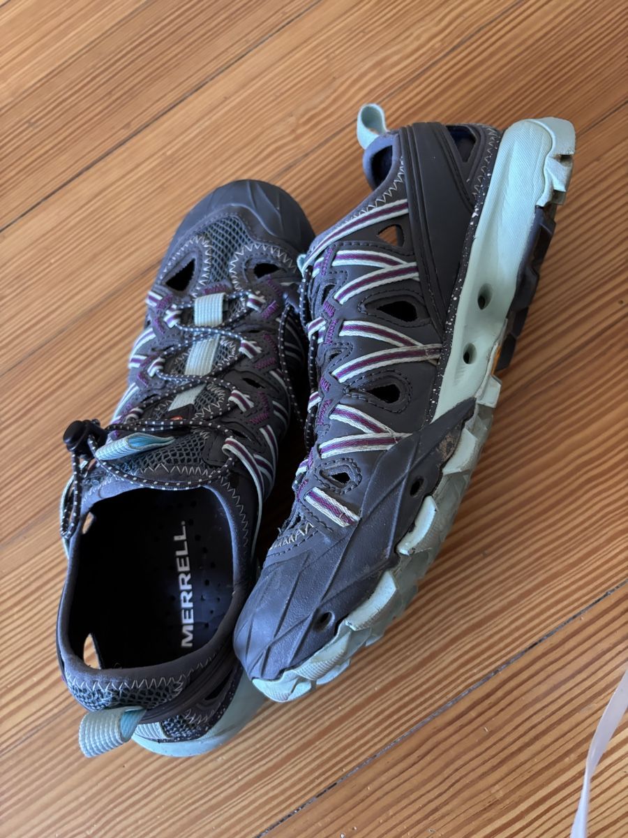 Merrell Damenschuhe: MERRELL SCHUH Gr.38,5 – Gebraucht aus Lyss von violin 1