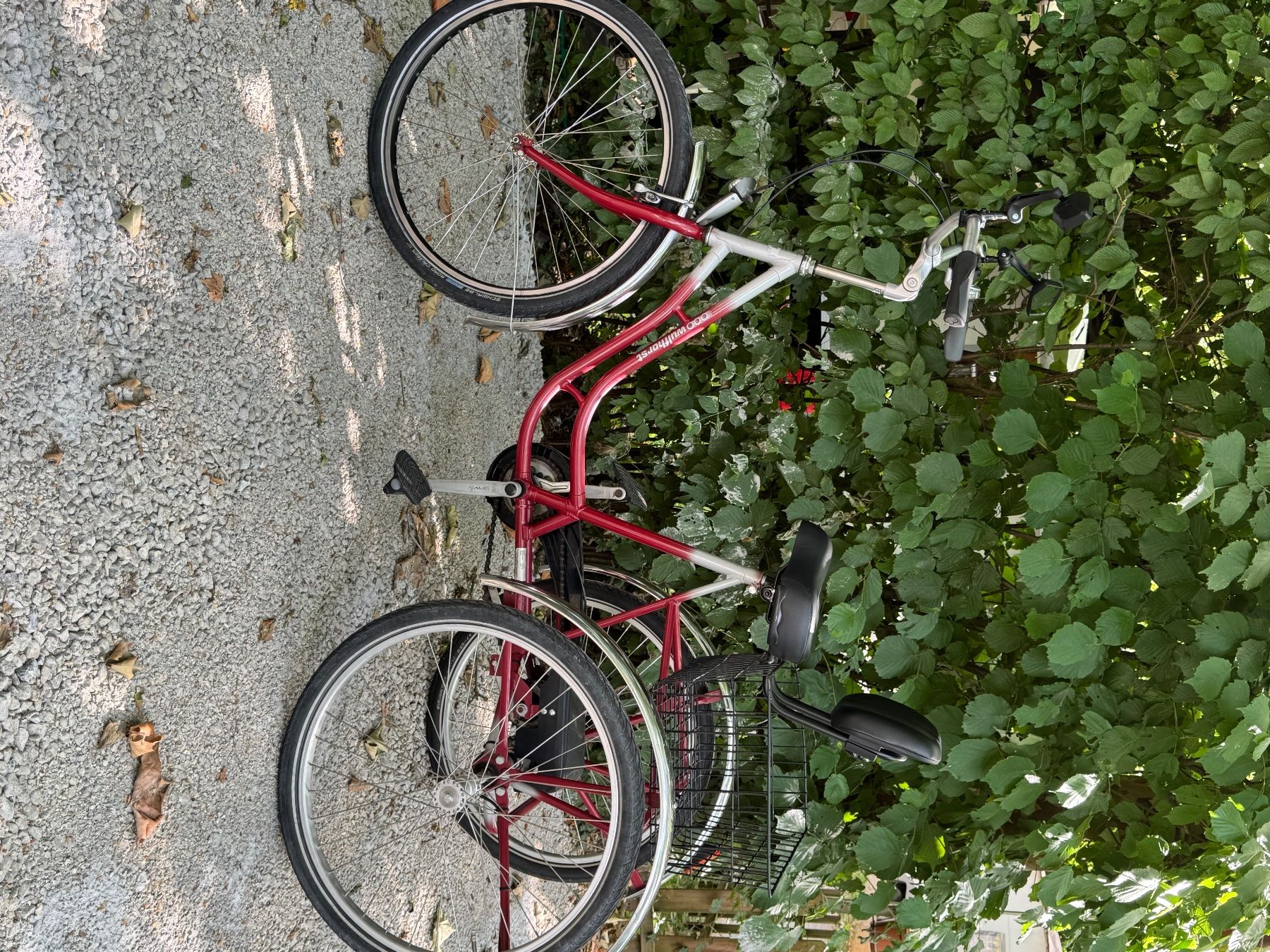 Vélos: Tricycle – D'occasion à Satigny par vaz_c965 2
