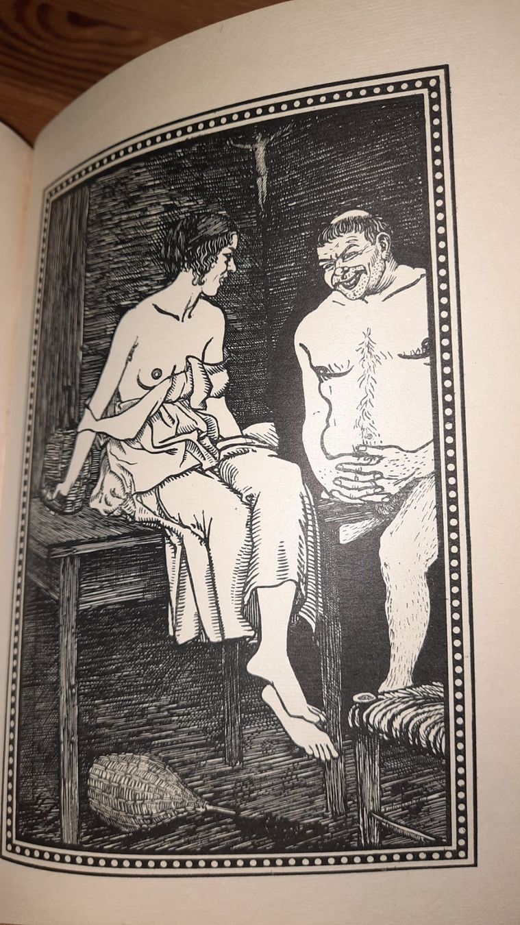 Libri: DIE ERGÖTZLICHEN NÄCHTE  von Giovanfrancesco Straparola – Usato da zürich venduto da gabab 8