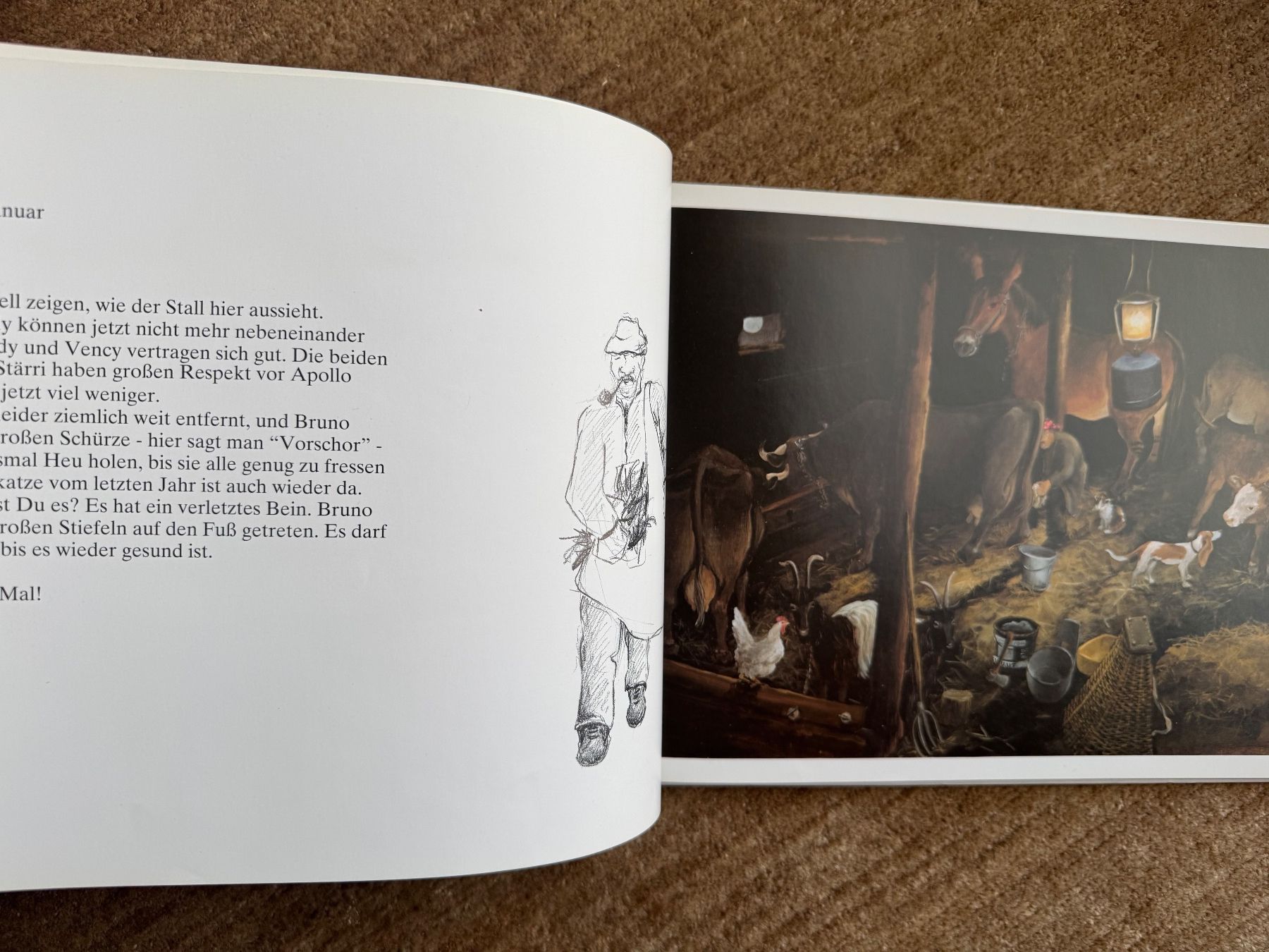 Libri: Lieber Alex -Helen Güdel – Usato da Aarau venduto da Kilauea 3