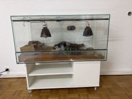 Terrarium 100 x 50 x 50cm Leopardgecko