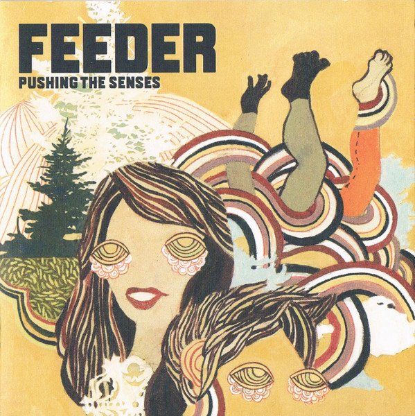 CD: CD/DVD Feeder - Pushing the senses (2005) – Usato da Möriken AG venduto da mineralia