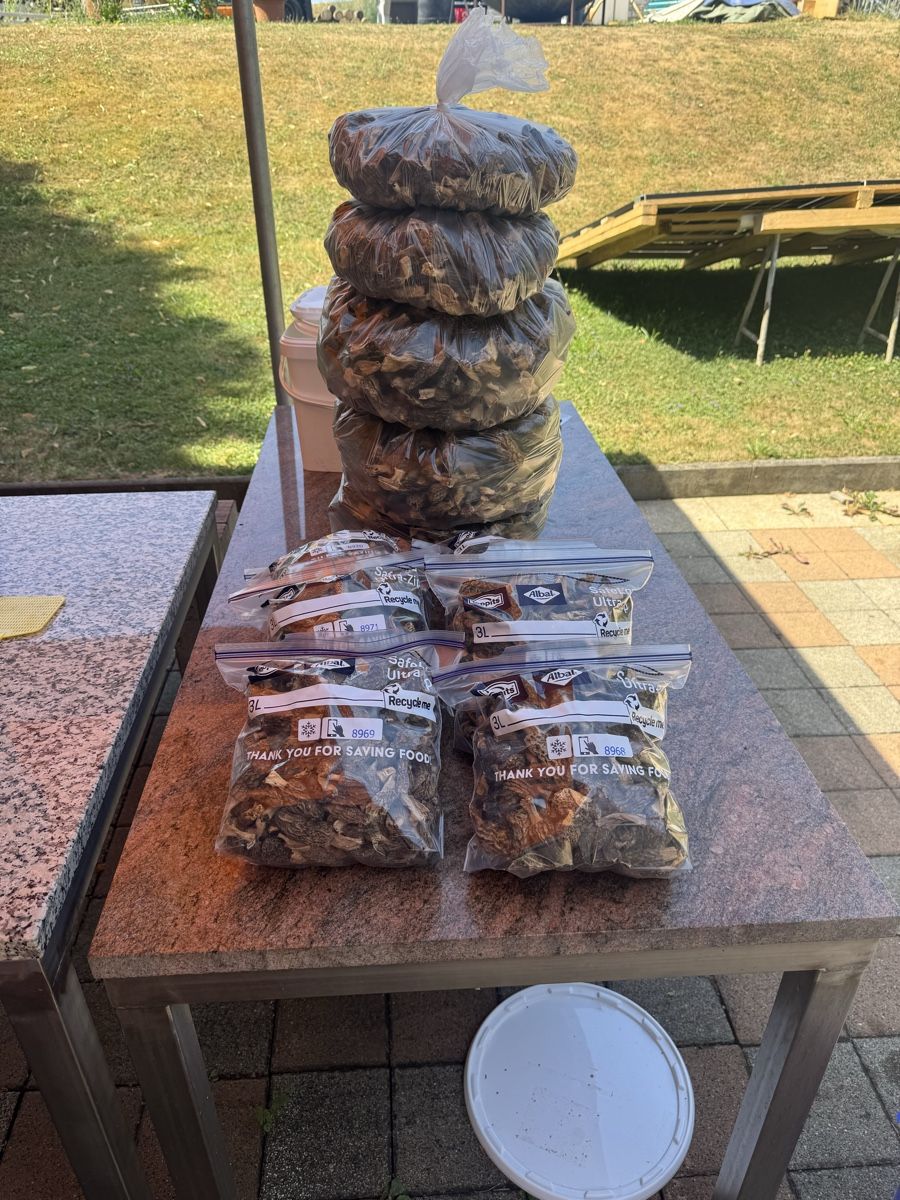 Lebensmittel & Spezialitäten: Getrocknete Morcheln 100 g 30 fr – Neu (gemäss Beschreibung) aus Wenslingen von tarzan74 4