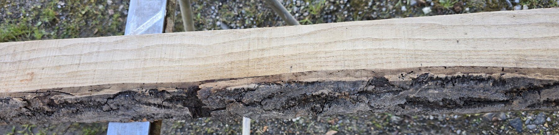 Holzartikel: Altes Holzbrett  – Gebraucht aus Rorschacherberg von snOOpydOg11 2
