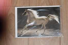 Doppelkarte Pferd ca. A5