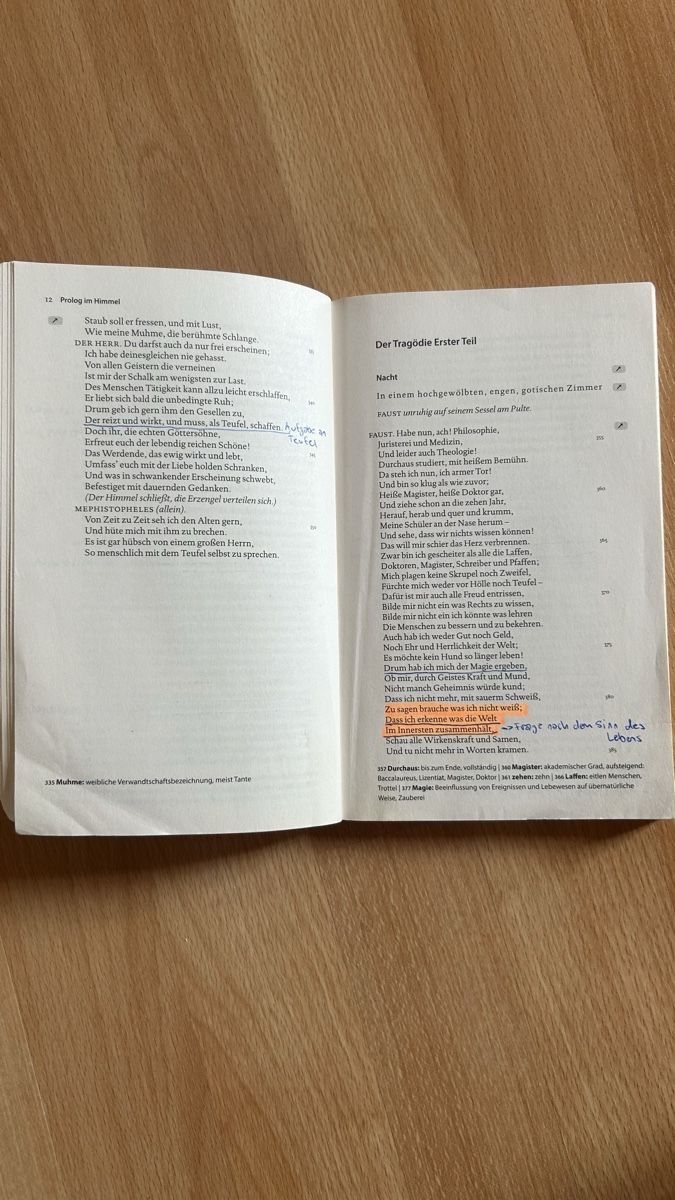 Libri: Faust - Johann Wolfgang Goethe – Usato da Reigoldswil venduto da har_yz6k 2