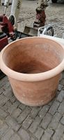 Terracotta Topf