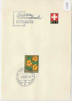 J181 auf PTT Bögli - Stempel: Exposition