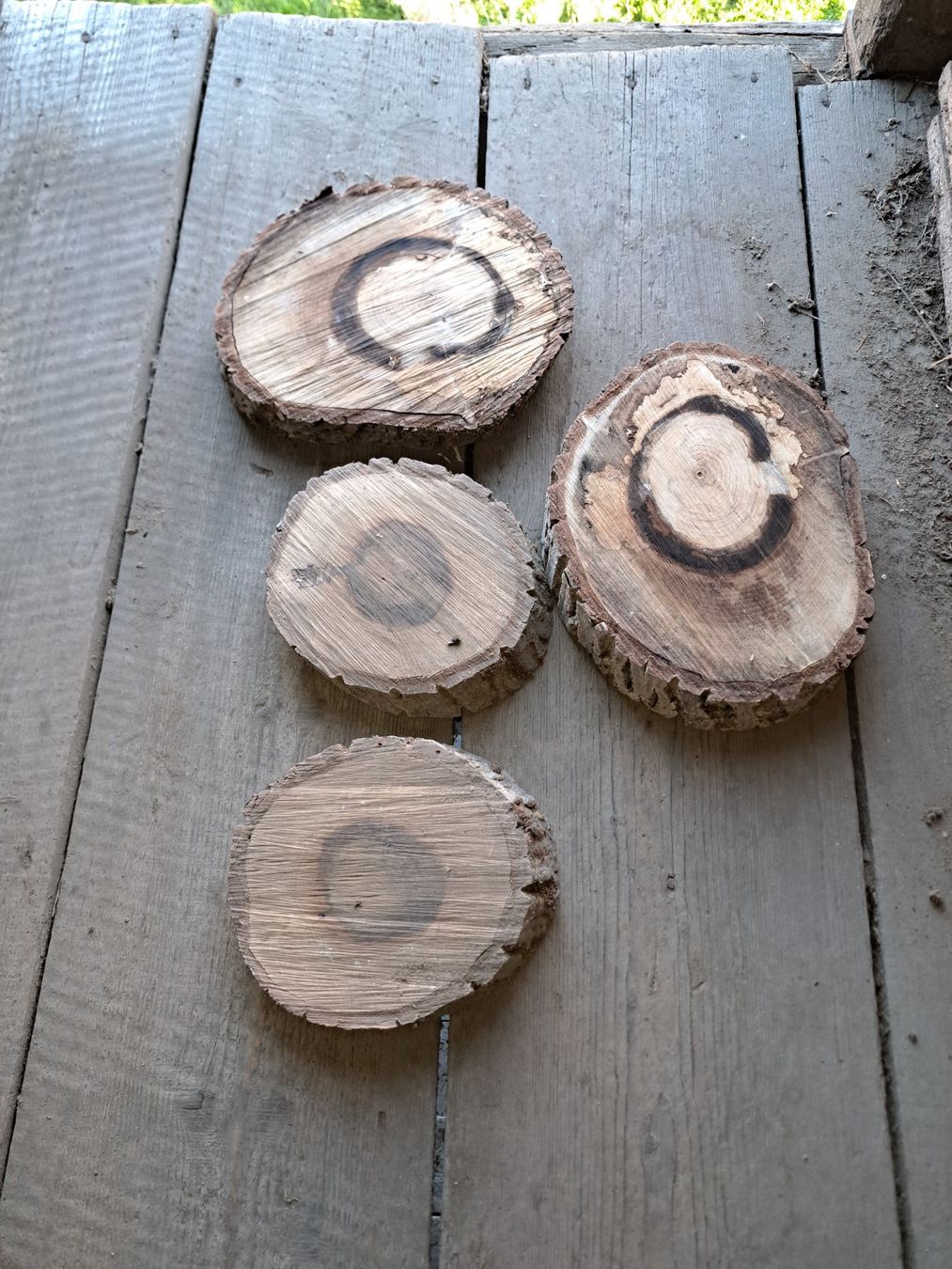 Articoli in legno: 4stk Nussbaumscheiben – Usato da Ottenbach venduto da Ponto1 1