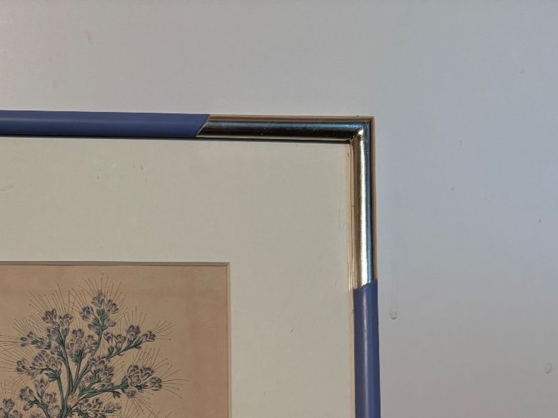 Poster & Bilder: Blumenbild mit bemalten Weissgold-Rahmen – Gebraucht aus Zürich von wasudami 2