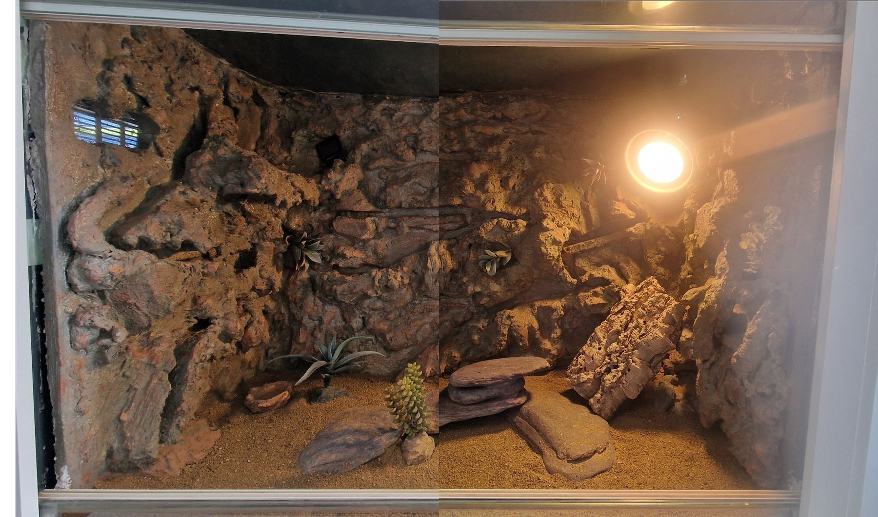 Terrario: Terrarium mit Zubehör – Usato da Siblingen venduto da Siblinger_2019 1