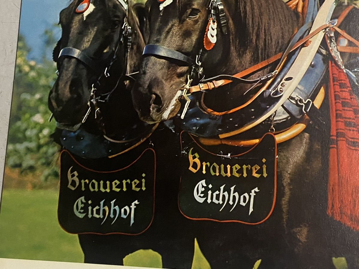 Eichhof Schilder: Brauerei Eichhof – Gebraucht aus Mosnang von Goldwasser 3