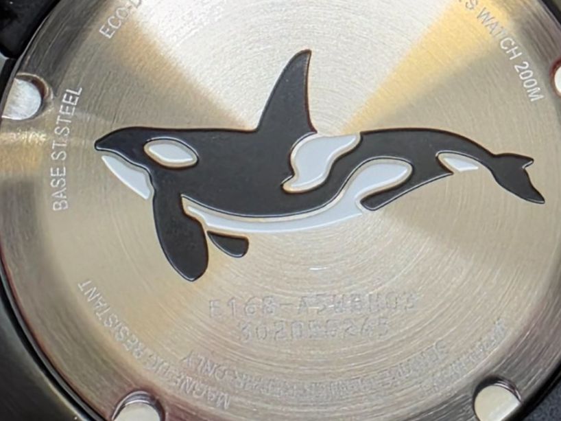 Citizen Orologi: Citizen Promaster Eco-Drive Orca Divers 46 mm "Black" – Nuovo (secondo la descrizione) da Zuzwil BE venduto da anbieterbern 5