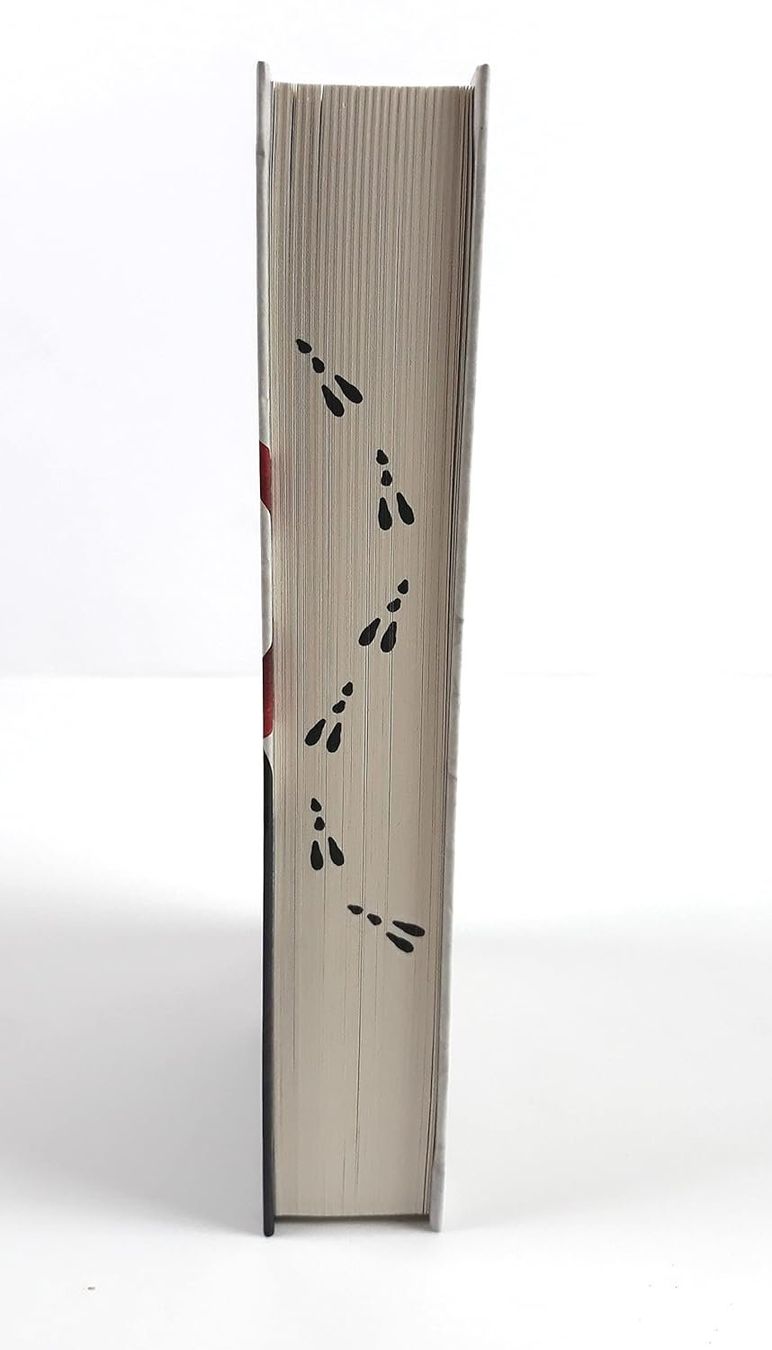 Libri: Die Chroniken von Alice – Usato da Neuchâtel venduto da Dualseele 2