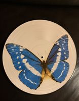 Schallplatte - Traum Melodien - Club Edition - Picture Disc