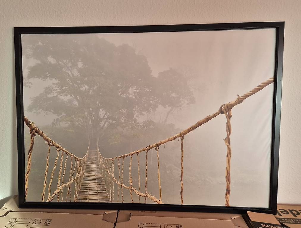 Foto & Immagini: Bild Brücke im Dschungel – Usato da Zürich venduto da pompiersmartin 1