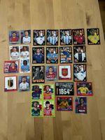 Panini Bilder gemäss Bild