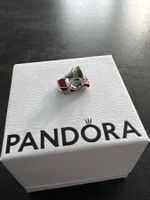 Auflösung Schmucksammlung - Pandora Christmas Charm NEU