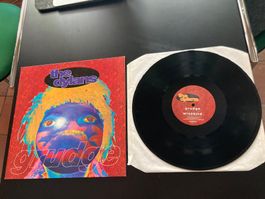 The Dylans - Grudge (12")