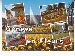 Genève 1983
