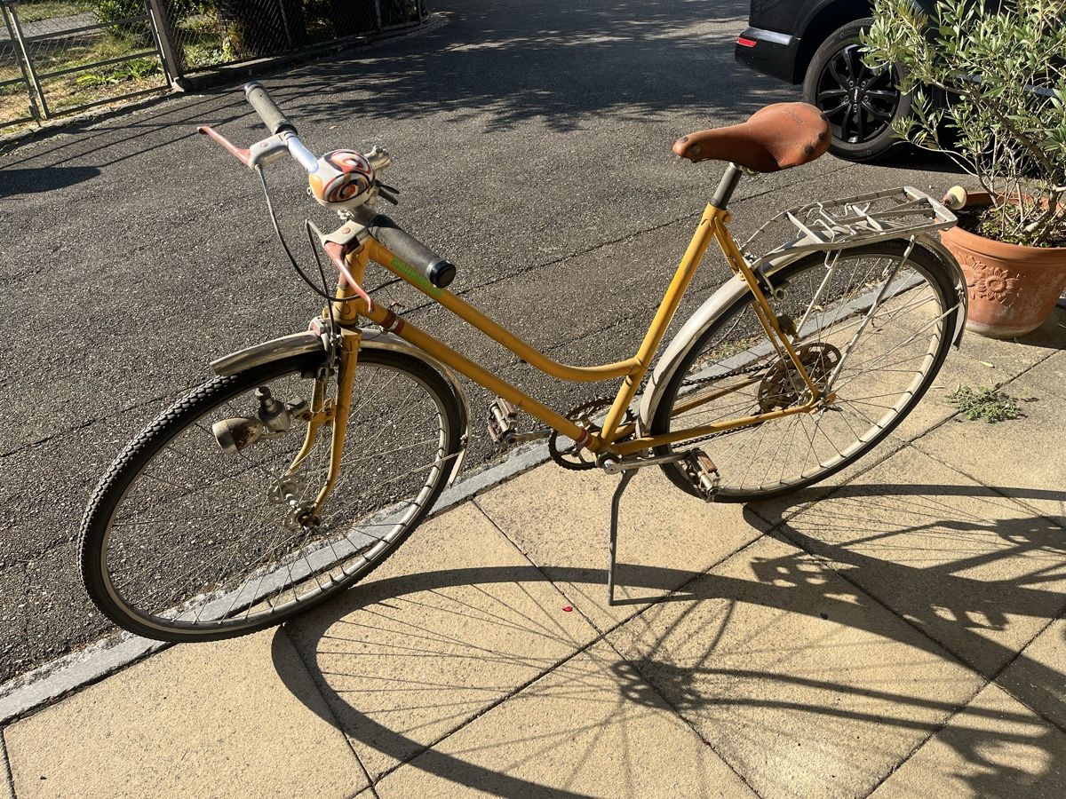 Biciclette: Altes Damen fahrrad – Usato da Bennwil venduto da Mseko 4