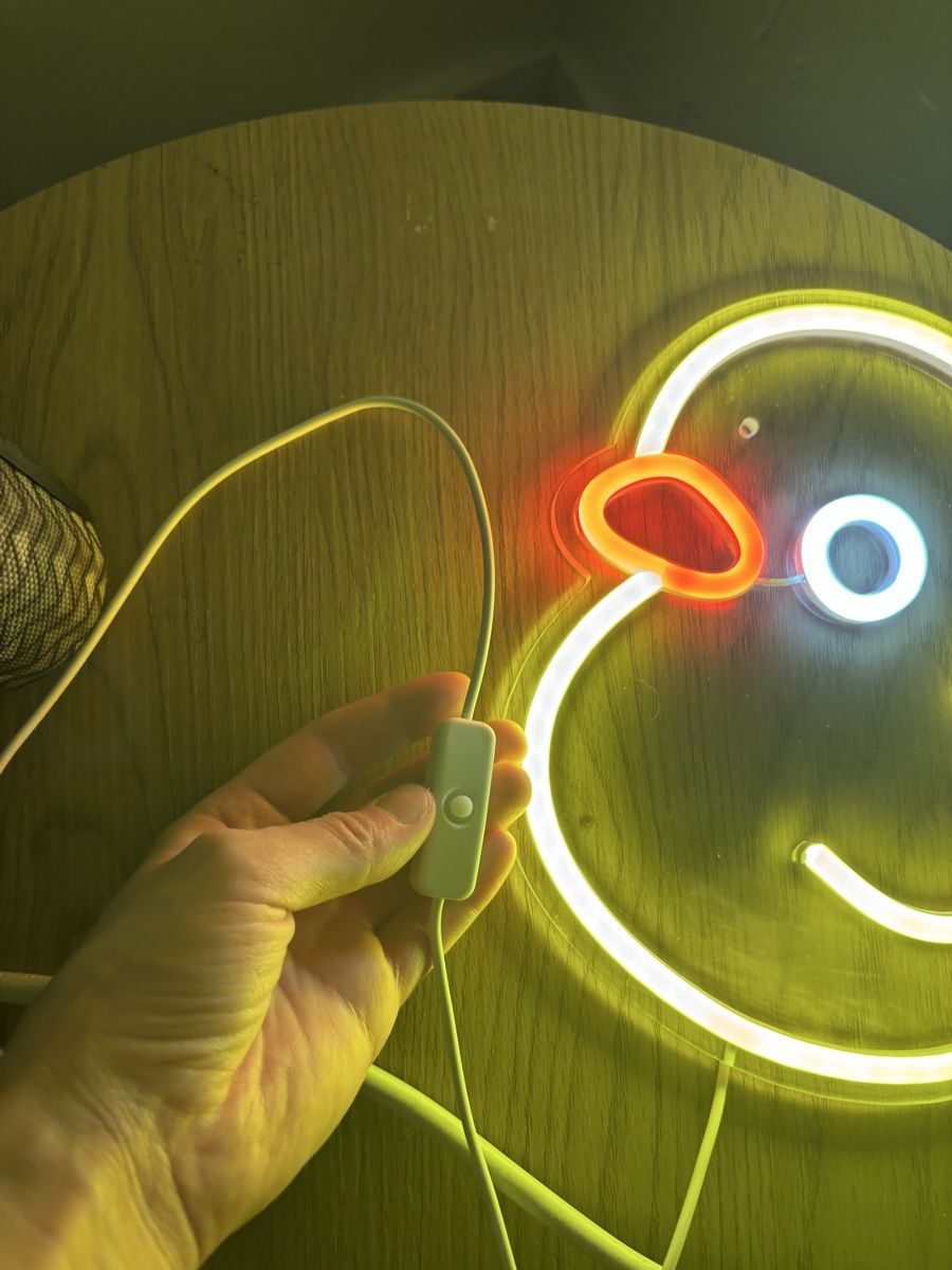 Tutte le decorazioni: Lampe néon LED canard jaune – Usato da La Chaux-de-Fonds venduto da DANIELA19961996 2