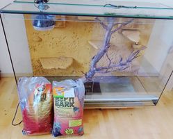 Grosses Terrarium (B150 x H100 x T60) mit Zubehör
