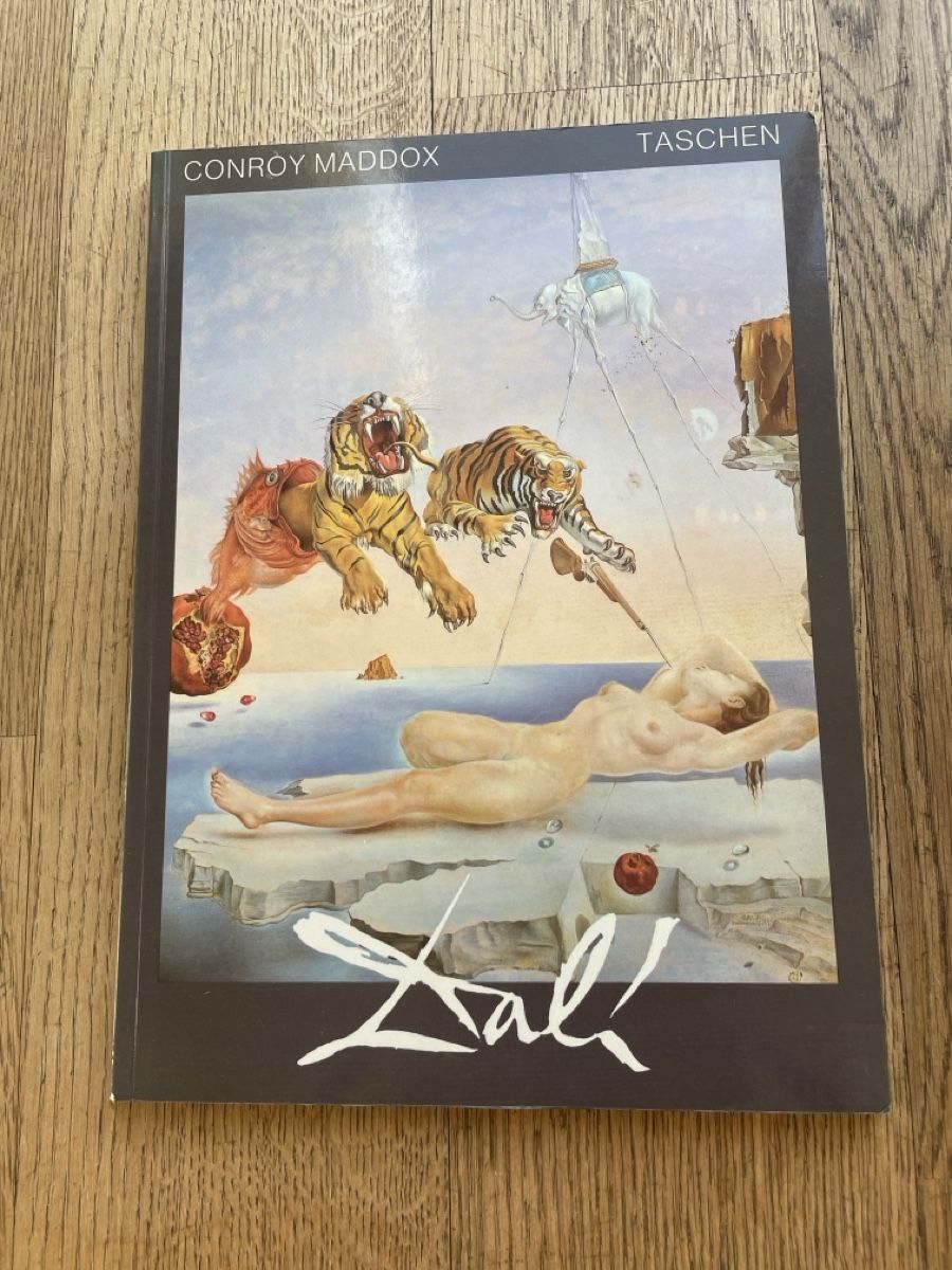 Libri: Salvador Dali Kunstbuch – Usato da Wetzikon ZH venduto da Oliver010