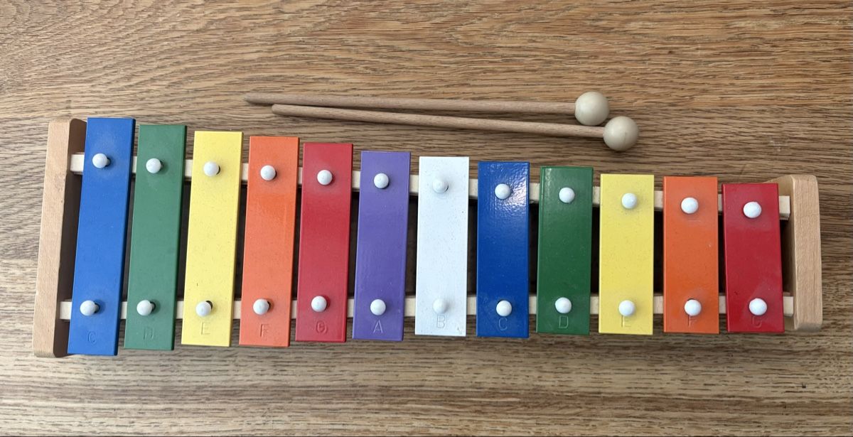 Strumenti musicali: Xylofon – Usato da Urdorf venduto da Theboxi