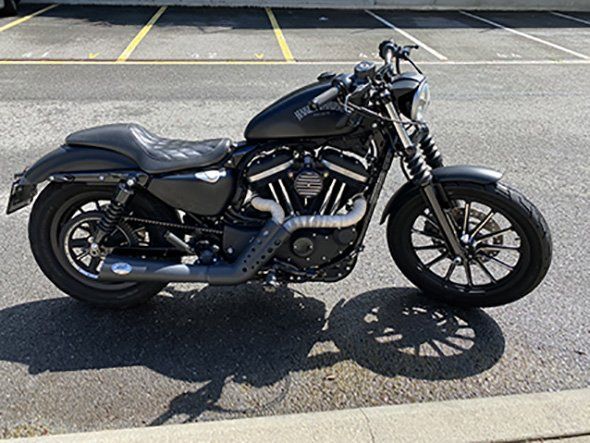 Harley-Davidson Altro: Harley Davidson Iron 883 / XL883 3N – Usato da Belmont_lausanne venduto da FollowMe 1