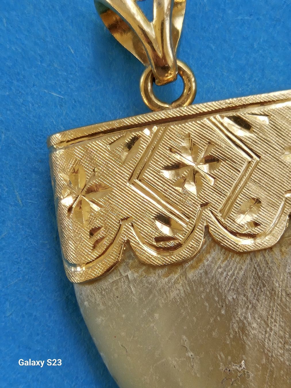 Ciondoli: Gold-Anhänger mit Tigerzahn – Nuovo (secondo la descrizione) da Greifensee venduto da gre_7lzy 4
