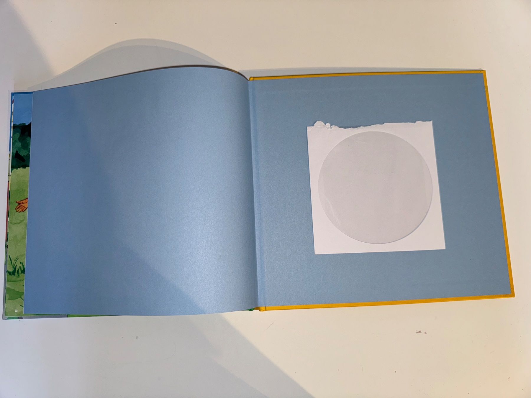 Libri: Buch: Peter und der Wolf – Usato da Grosswangen venduto da Second_hand_paradise 6
