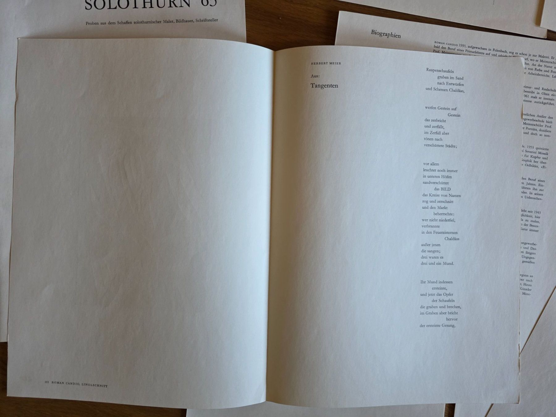 Libri: Solothurn '65 - Schaffen solothurnischer Künstler - Mappe – Usato da Walterswil BE venduto da Lonitti 5