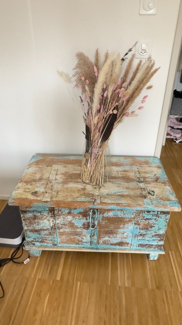 Truhen: Truhe aus Teakholz / shabby chic – Gebraucht aus Zürich von Elvirac01
