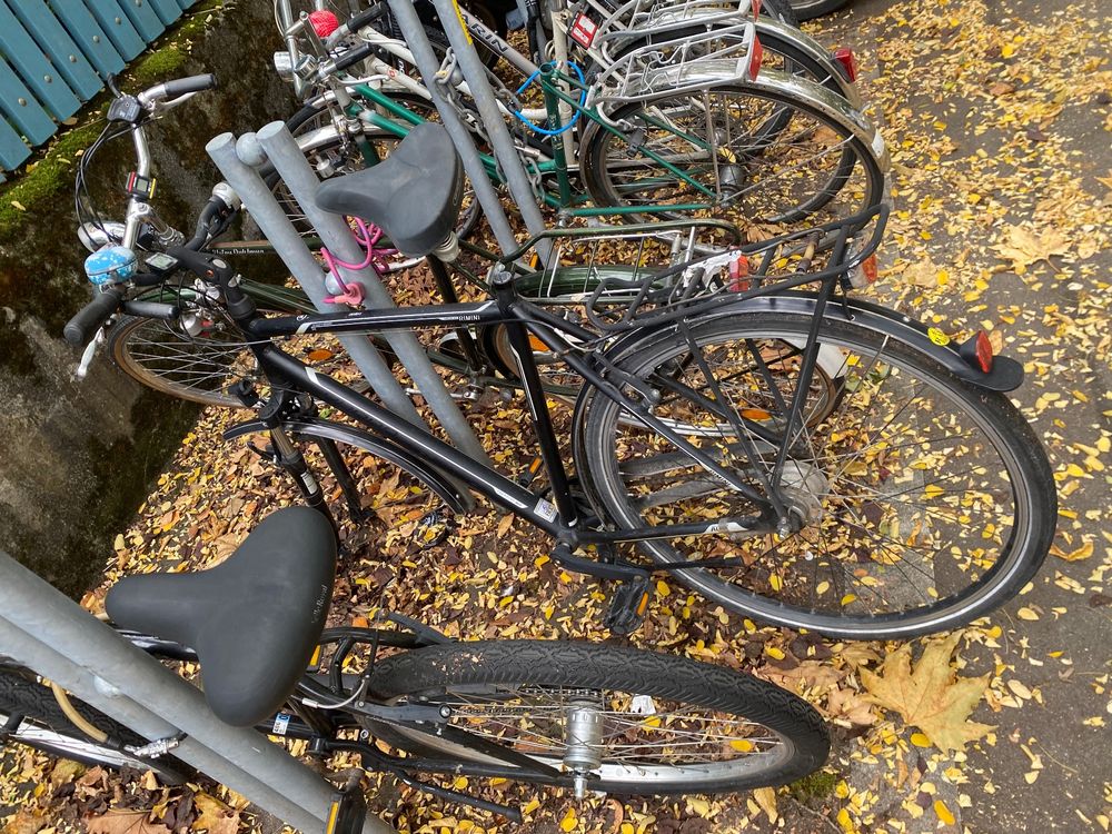 rennrad trikot waschen Herren Rennradtrikot Olivgrün – Atmungsaktiv & Performance Storlek:Standardtitel Line_Racecraft 2 Universal Audio UAD UA-ANTI