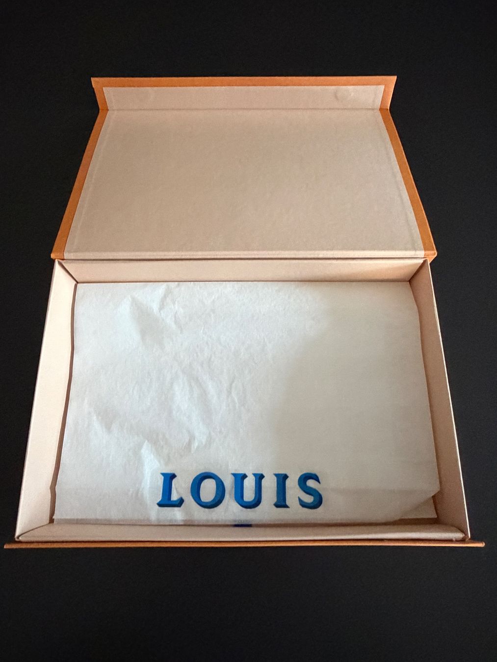 Louis Vuitton Sonstige Dekorationen & Accessoires: Louis Vuitton Box gebraucht – Gebraucht aus Kriens von Cyprinuscarpio 1
