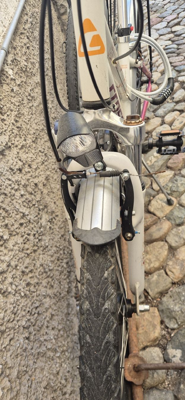 Biciclette: Crosswave Mädchen Fahrrad  – Usato da Muttenz venduto da dil_z5lr