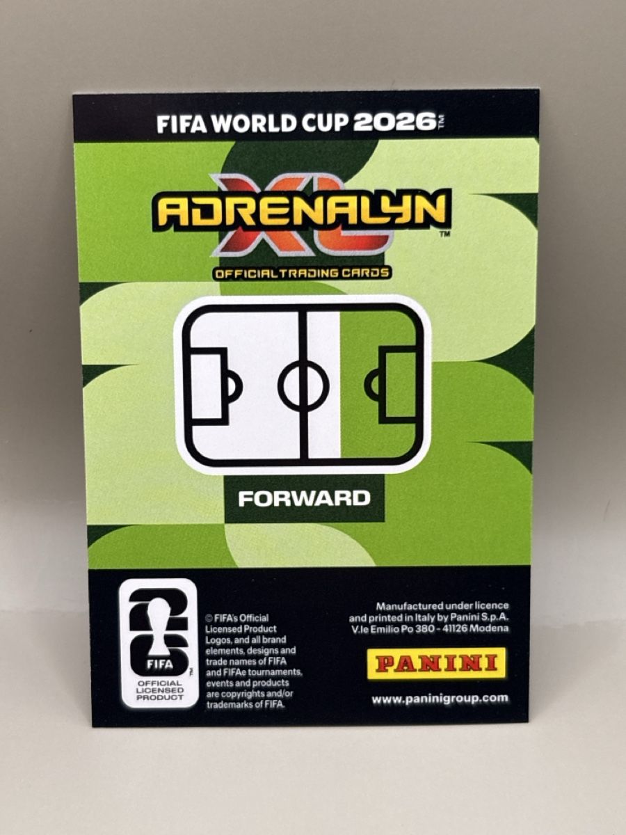 Panini Carte collezionabili: Panini Adrenalyn XL - 260 – Nuovo (secondo la descrizione) da Oberbuchsiten venduto da Bananefrappe93 1