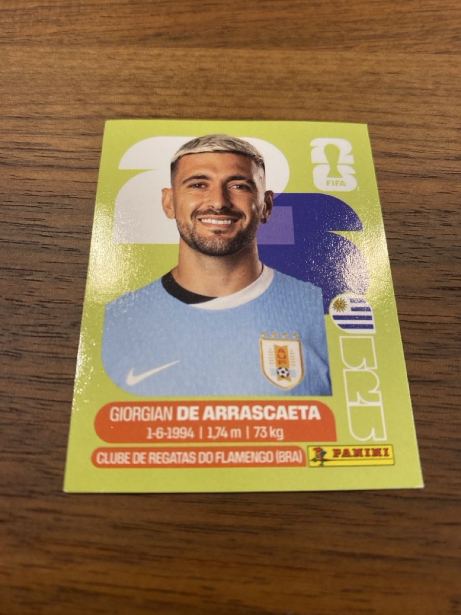 Panini Carte collezionabili: Panini Uru11 – Usato da schafisheim venduto da soni13