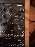 Ginko Synthese Seeds Oscillator/ Eurorack
