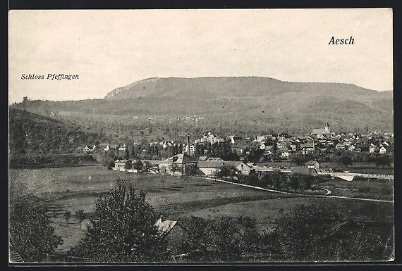 Cartoline postali: Aesch /BL, Ortsansicht mit Schloss Pfeff – Usato da Berlin venduto da bartko-reher
