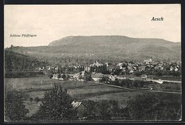 Aesch /BL, Ortsansicht mit Schloss Pfeff