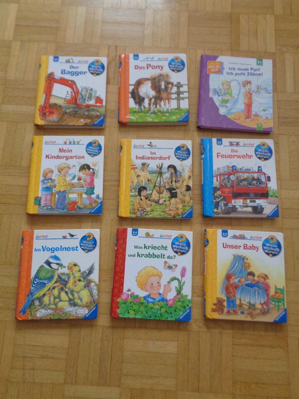 Libri: 9 Bücher Wieso Weshalb Warum? – Usato da Dietikon venduto da chroetli77